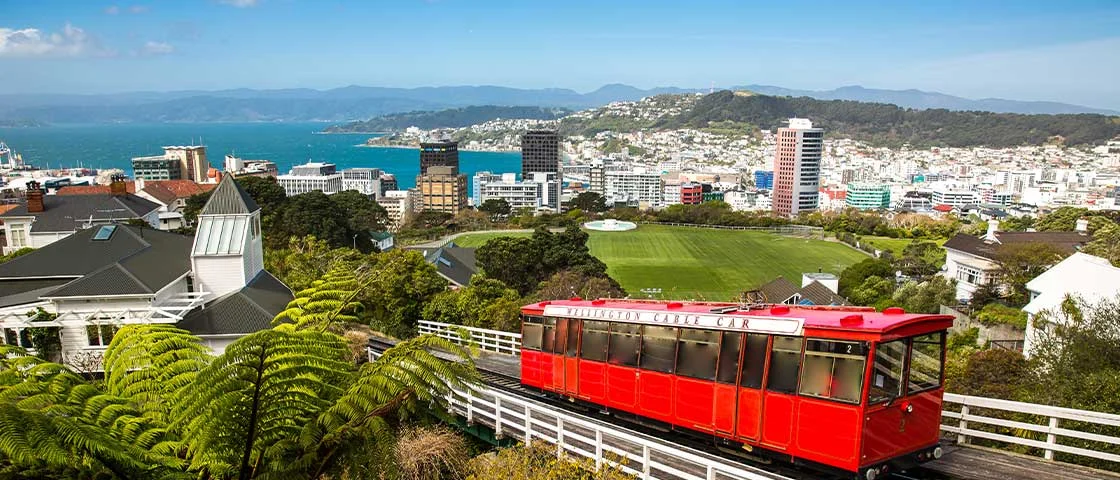5D4N Wellington