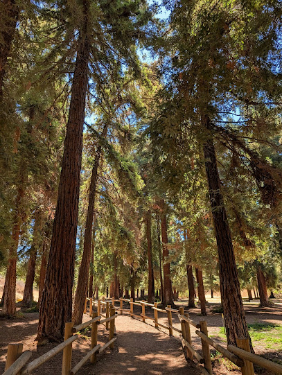 Carbon Canyon Regional Park