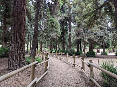 Redwood Grove