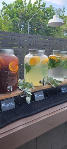 Premium Beverage Service- Lemonade, Water, and Mango Tea